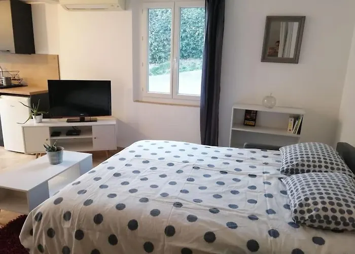 Joli Studio Calme Et Moderne